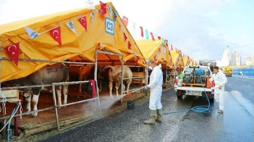 Başakşehir&rsquo;de Kokusuz, Hijyenik Kurban Alanı
