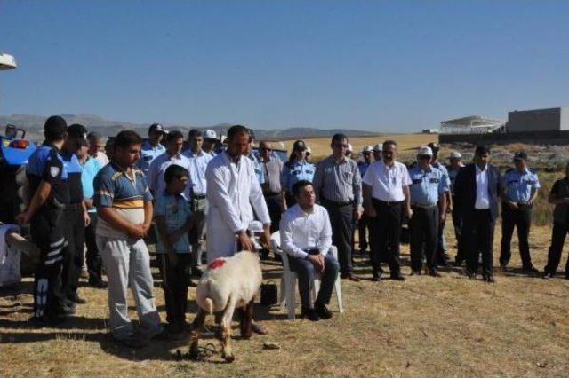 Adıyaman'da Polisler, Şehitler Için 11 Koyun Kesip, Etleri Dağıttı