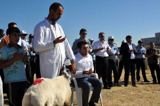 Adıyaman'da Polisler, Şehitler Için 11 Koyun Kesip, Etleri Dağıttı