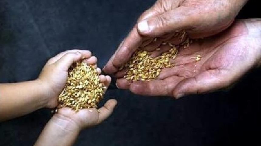 Seed Bartering Festival To Revive Natural Richness Of İzmir