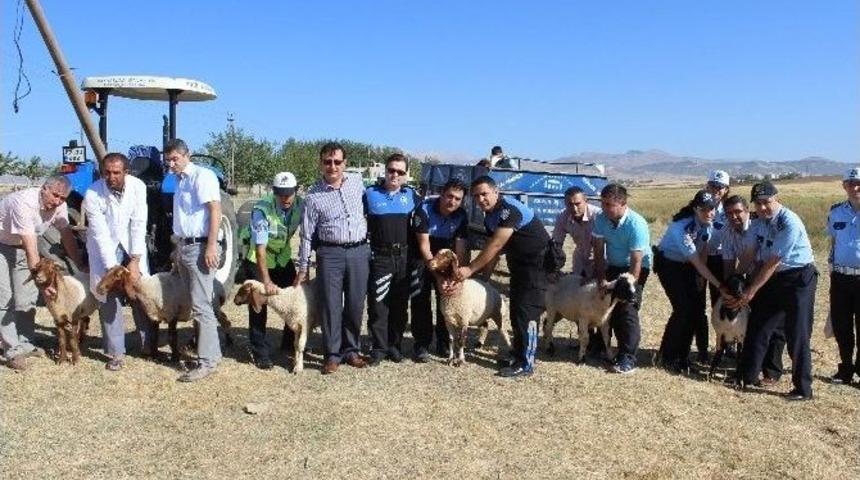Polis Ter&ouml;r, Kaza Ve Beladan Korunmak İ&ccedil;in Kurban Kesti