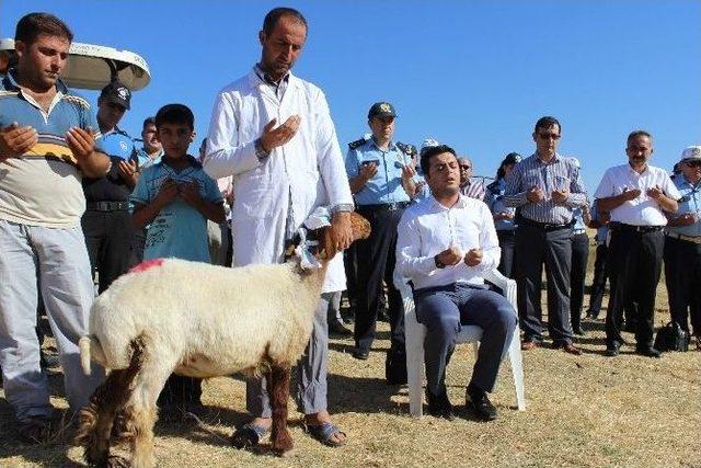 Polis Terör, Kaza Ve Beladan Korunmak İçin Kurban Kesti