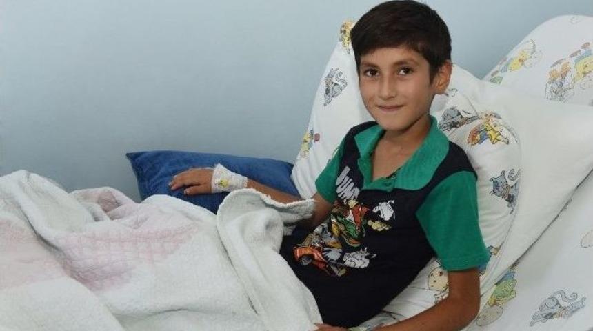 Kabuklarıyla Yenen &Ccedil;ekirdek Ameliyat Sebebi Oldu