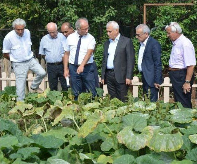 Bu Bahçede Tüm Ürünler Doğal Ve Gdo’Suz