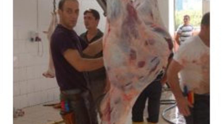 Lapseki’de Kurban Kesim Kursu