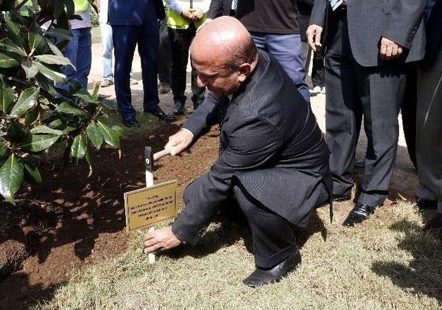 Gıda, Tarım Ve Hayvancılık Bakanı Arzu, Expo Alanına Ağaç Dikti 1