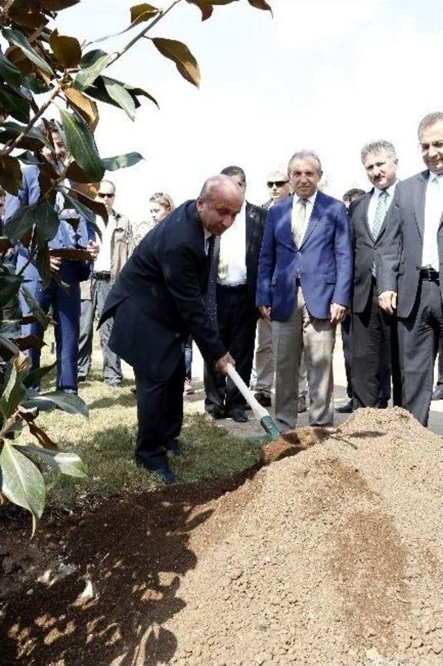 Gıda, Tarım Ve Hayvancılık Bakanı Arzu, Expo Alanına Ağaç Dikti 3