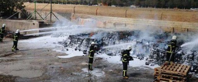 Fabrikanın Bahçesinde Çıkan Yangın Korkuttu