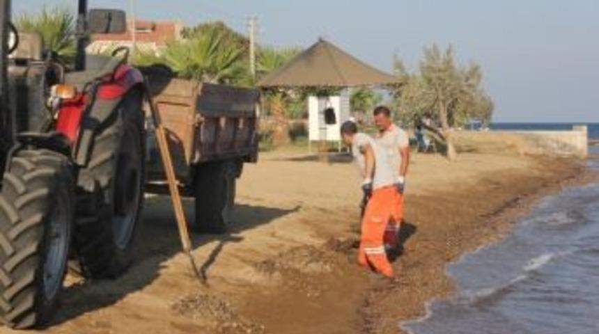 Burhaniye&rsquo;de 24 Saat Temizlik