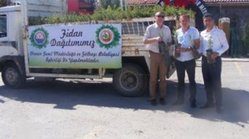 G&ouml;lbaşı&rsquo;nda 50 Bin Fidan Dağıtıldı