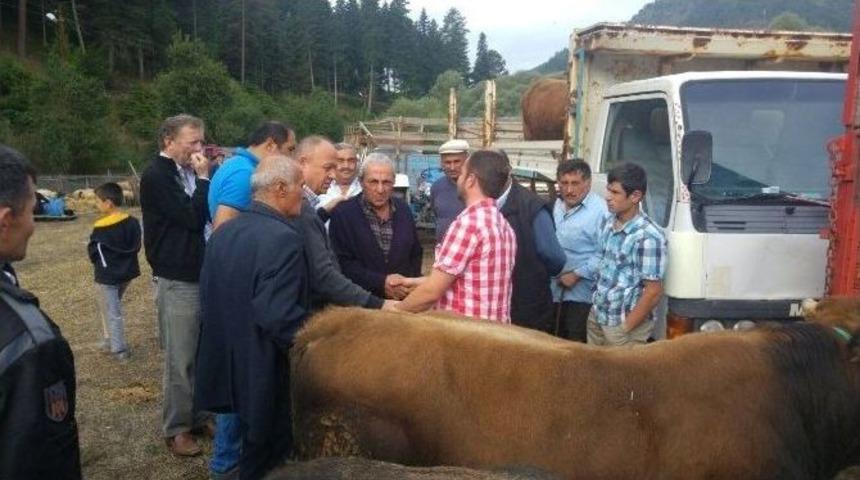 Azdavay&rsquo;da Kurban Pazarı A&ccedil;ıldı