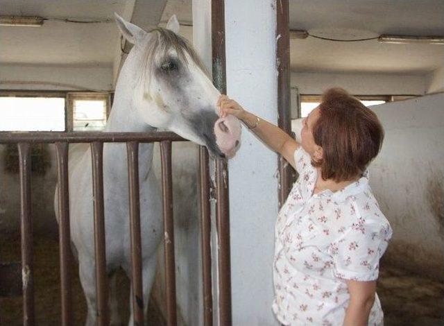 (&ouml;zel Haber) Bu Okuldan Mezun Olanlar İşsiz Kalmıyor 1