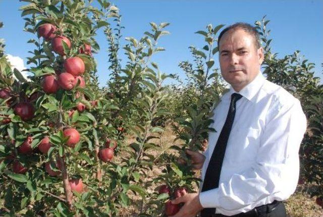 Niğde Elması, &Uuml;reticinin Y&uuml;z&uuml;n&uuml; G&uuml;ld&uuml;recek 3