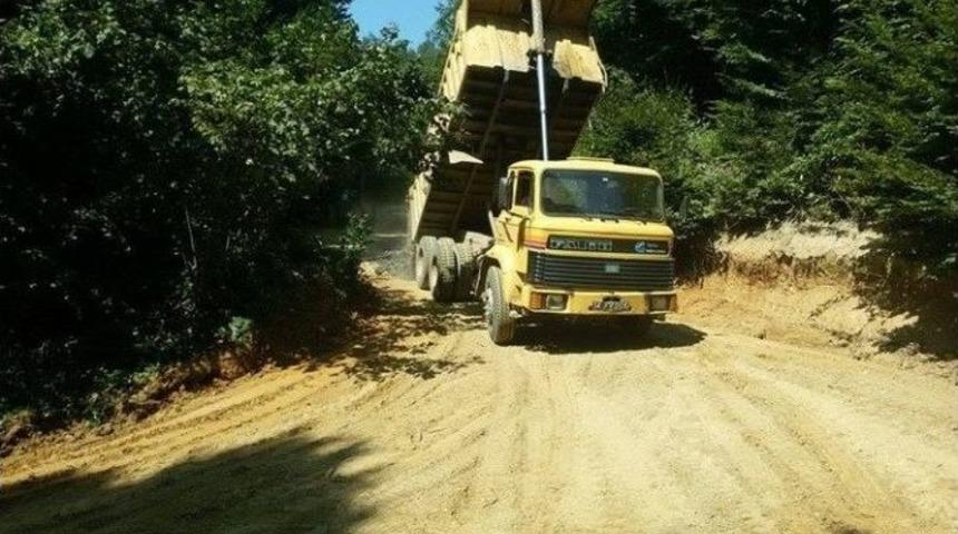 Kurumlar Arası Dayanışma