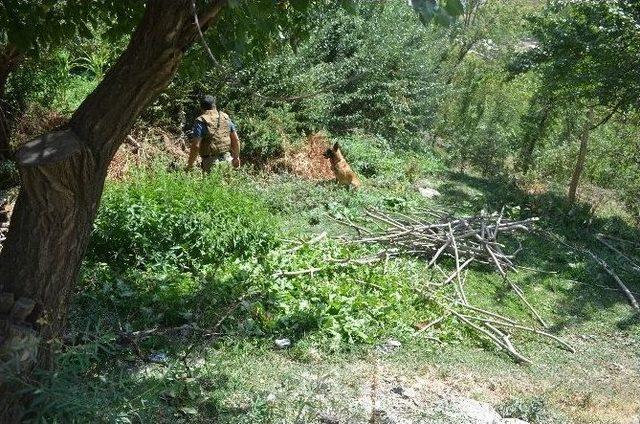 Hakkari Merkezde Mühimmat Ele Geçirildi