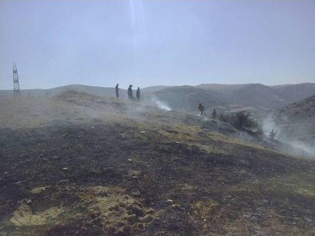 Kaplumbağalar Yanmaktan Son Anda Kurtarıldı