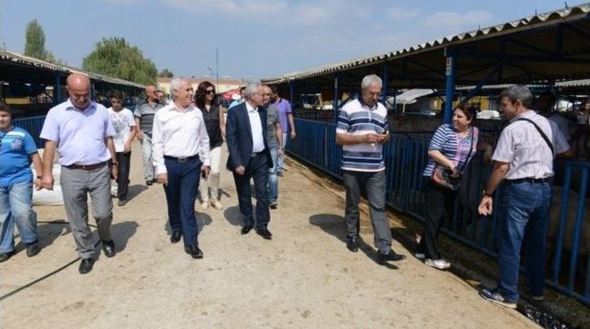 Nil&uuml;fer Kurban Bayramına Hazır