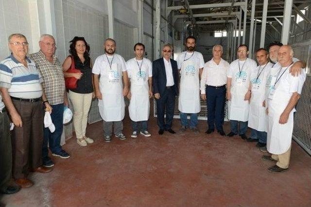 Nil&uuml;fer Kurban Bayramına Hazır 1