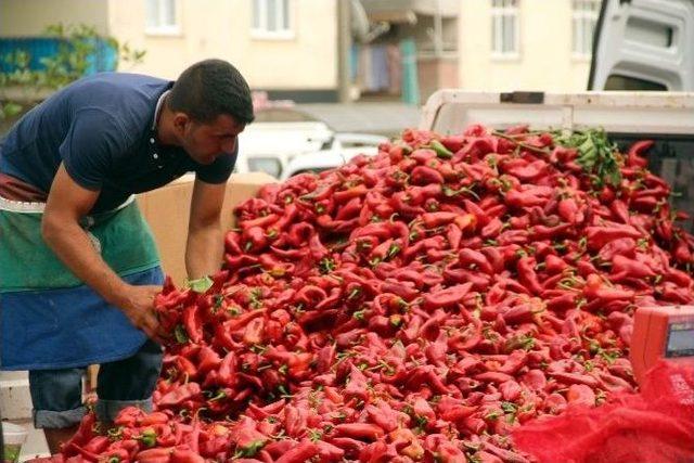 Samsun Pazarları Modernleşiyor