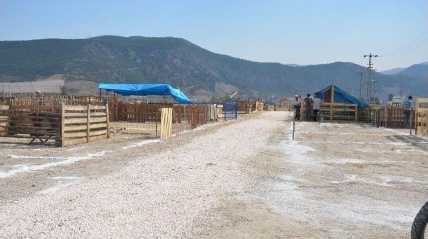 Bilecik&rsquo;te Kurbanlıklar Pazara İndi
