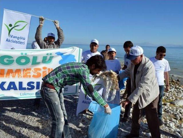 Adilcevaz’Da Dünya Kıyı Temizliği Etkinliği Düzenlendi