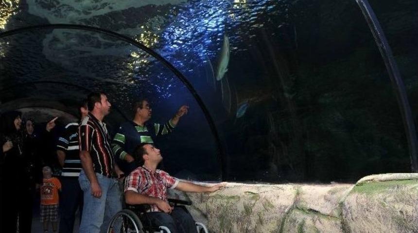 1 Milyon Kişi Okyanusu Keşfetti