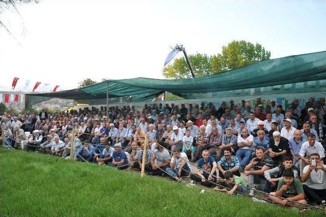 Altın Kemer Paşa Yağlı Güreşleri’nde Kıran Kırana Müsabaka