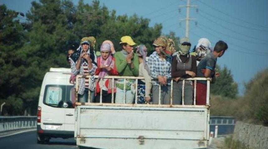 Hi&ccedil; Ders Almadık