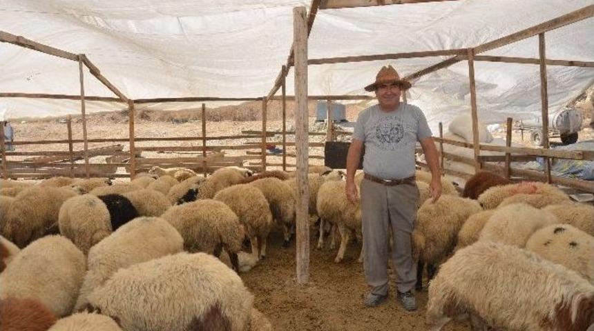 Kuşadası&rsquo;nda Kurban Bayramı Hazırlıkları Tamamlandı