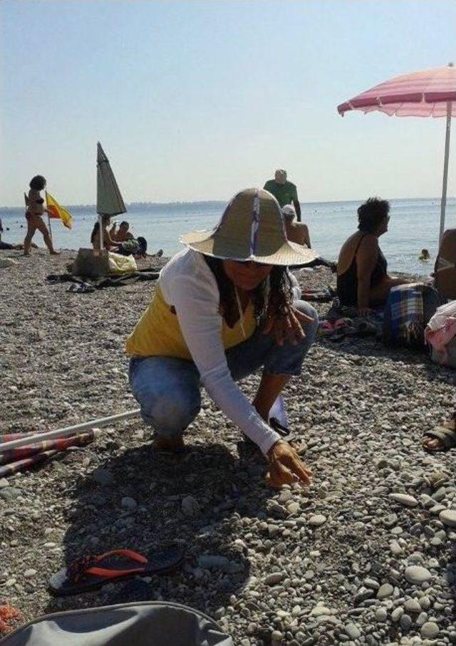 Kadınlar Sahile Atılan İzmaritleri Palmiye Ağacında Sergiledi