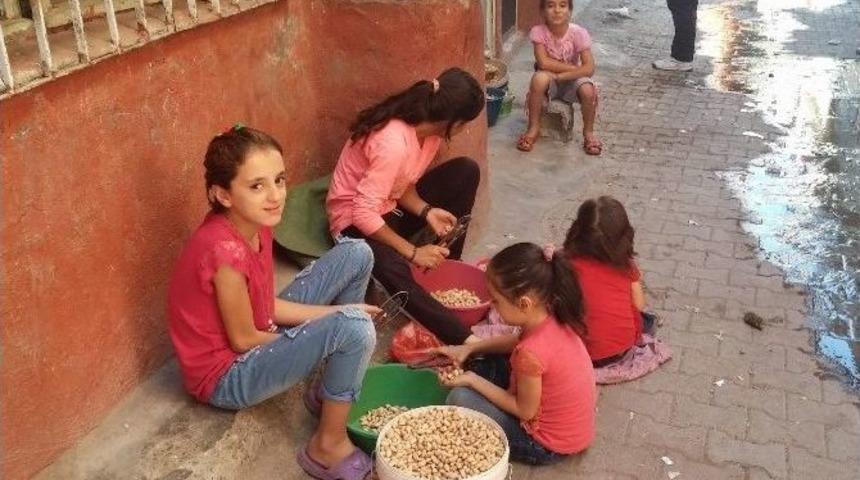 Bir&ccedil;ok Aile Fıstık Kırarak Ek Gelir Elde Ediyor