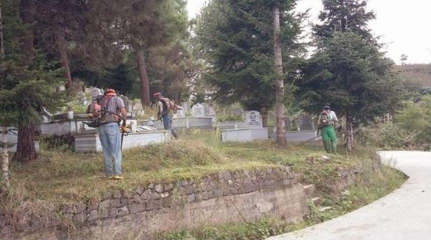 Altınordu&rsquo;da Mezarlıklar Temizlendi
