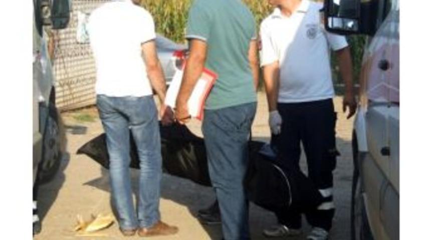 Tarlada Hasat Sonrası Mısır Toplama Kavgasında 1 Kişi &Ouml;ld&uuml;