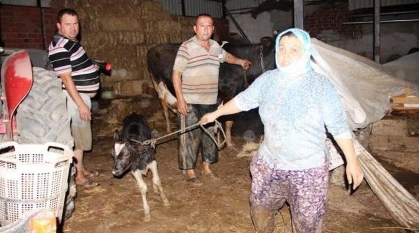 Sarıg&ouml;l'de Sağanak Yağış Etkili Oldu