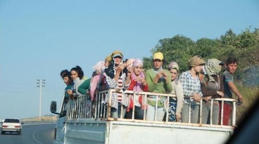 Agricultural Workers: Turkey Refuses To Learn From Deadly Accidents