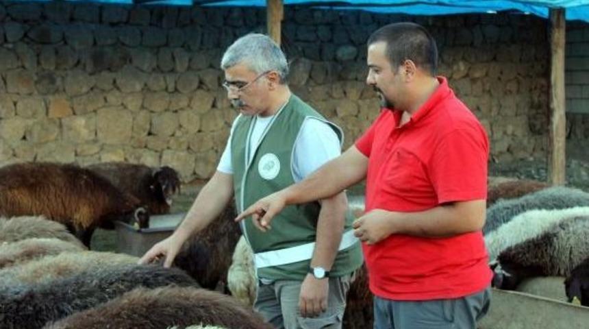 Kurbana Eziyet Edene Para Cezası