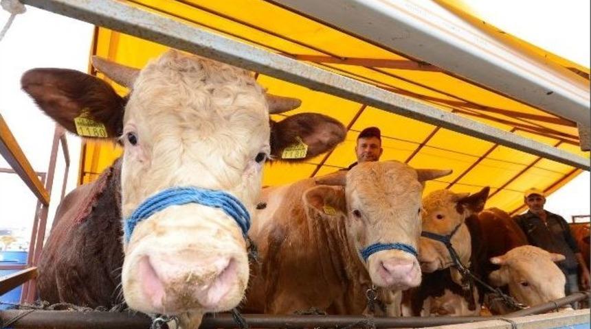 İhtiya&ccedil; Sahipleri İ&ccedil;in Kurban Bağış Noktası Kuruldu