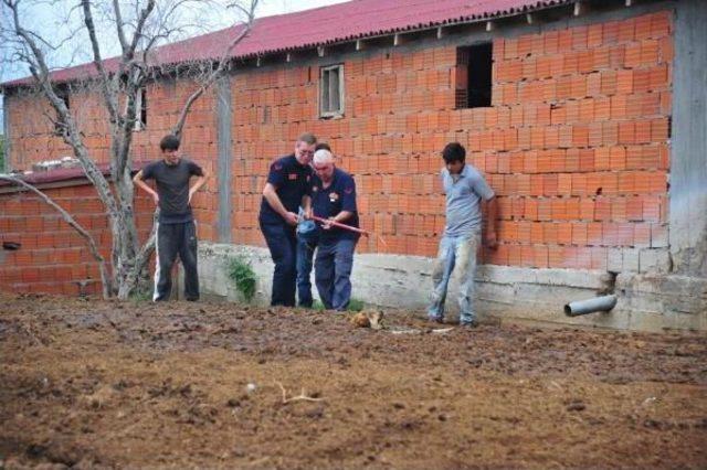 Gübre Yığınına Batan Köpeği Itfaiye Kurtardı