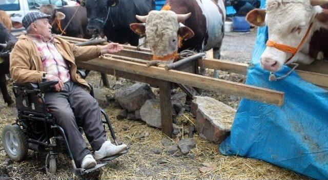 İkiz Danalar Pazarın G&ouml;zdesi 2