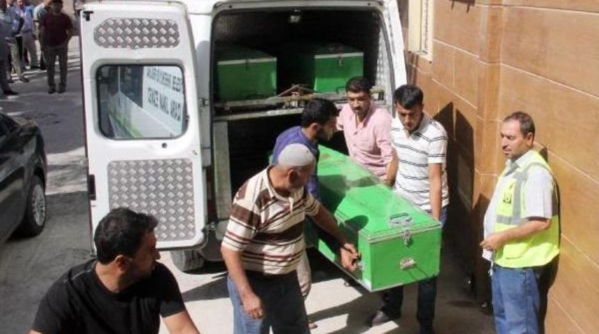 8&rsquo;Inci Kattan D&uuml;şerek &Ouml;ld&uuml;