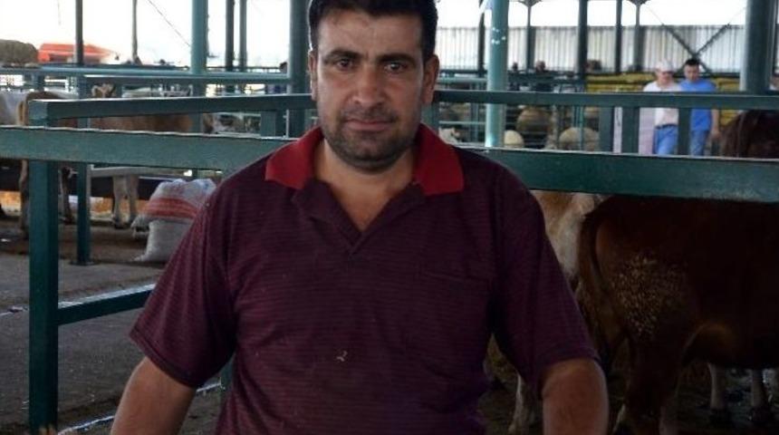 Kurbanlık Hayvanlarda İndirim