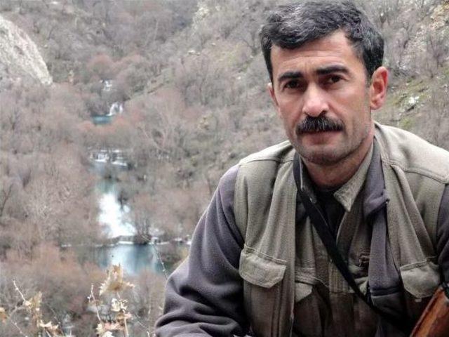 Pkk'nın Tunceli Sorumlusu Öldürüldü