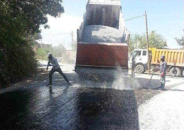 Gevaş Belediyesi’nden Hummalı Çalışma