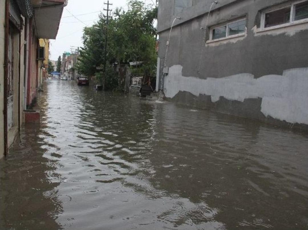 Adana&rsquo;da Yağmurda Koyunlar Telef Oldu, Morgu Su Bastı