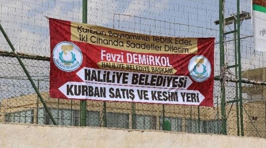 Haliliye&rsquo;deki Kurban Kesim Yerleri