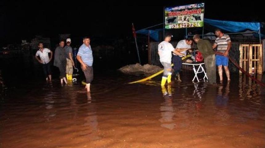 Antalya'da Hayvan Pazarı Su Altında