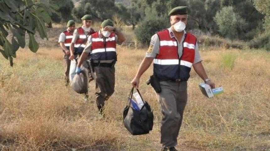 Kayıp Gen&ccedil;, Ağa&ccedil;ta Asılı Bulundu