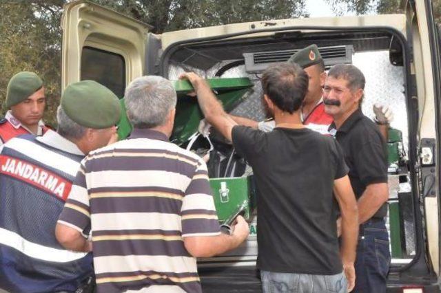 Kayıp Genç, Ağaçta Asılı Bulundu