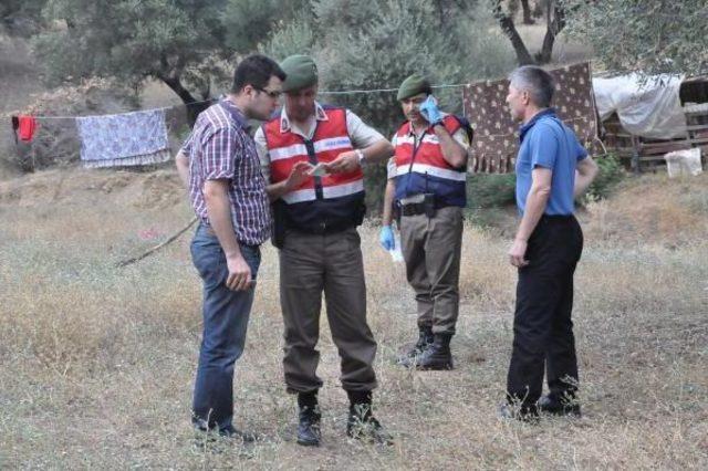 Kayıp Genç, Ağaçta Asılı Bulundu