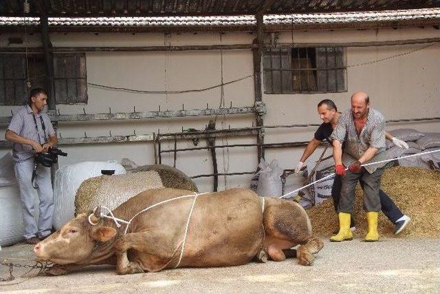 Uzmanından Kurban Yatırma Tekniği 3